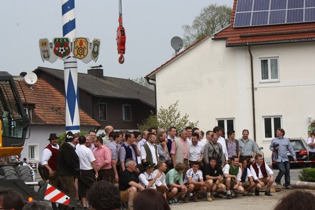 Maibaum 2013